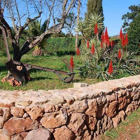 Quinta Do Rio Country Inn Silves Eksteriør billede
