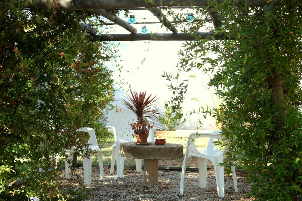 Quinta Do Rio Country Inn Silves Eksteriør billede